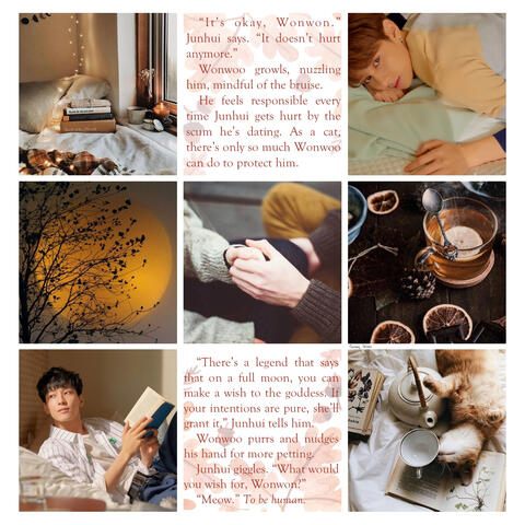 Wishes for the Moon (T) College, Supernatural, Woncat, Fluff & Comfort